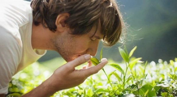Человек нюхает цветок
