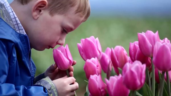 Цветы для детей