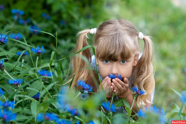 Девочка нюхает розу