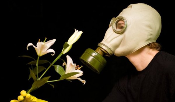 Цветы для детей