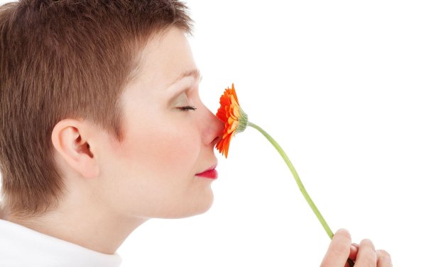 Маленькая девочка нюхает цветок