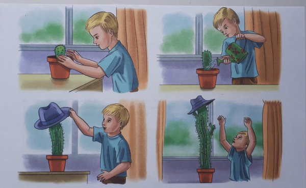 Сюжетные картины комнатные растения