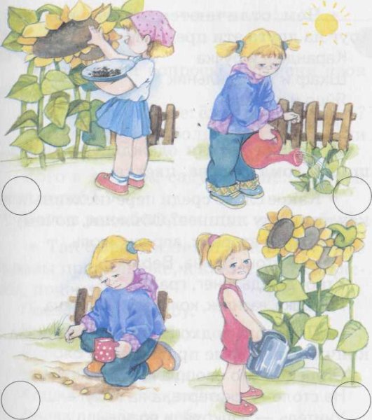 Иллюстрация для детей цветочный магазин