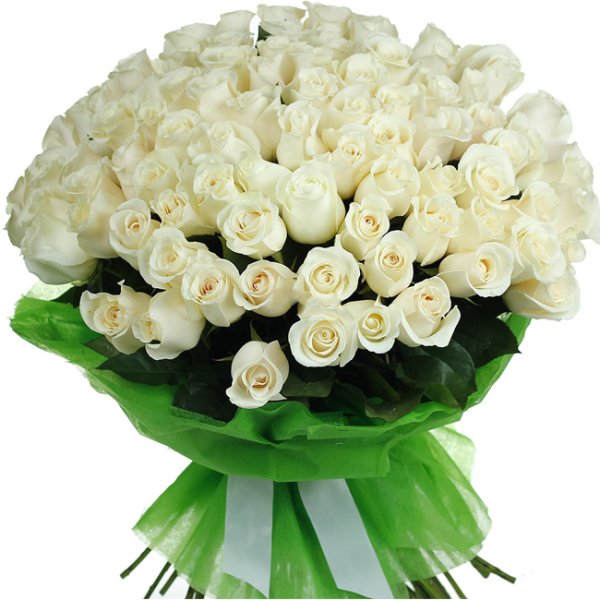 Красивый букет белых роз