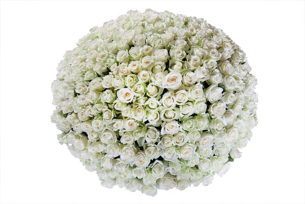 34124 Аваланш