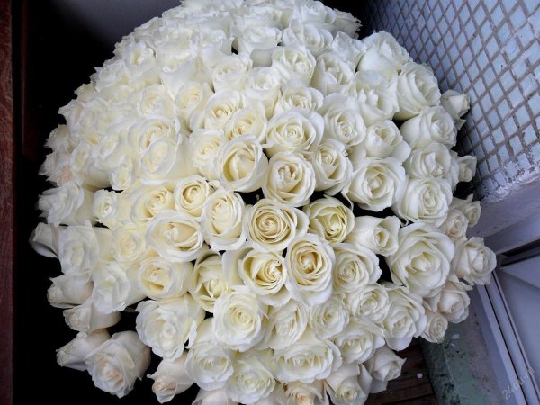 Огромный букет