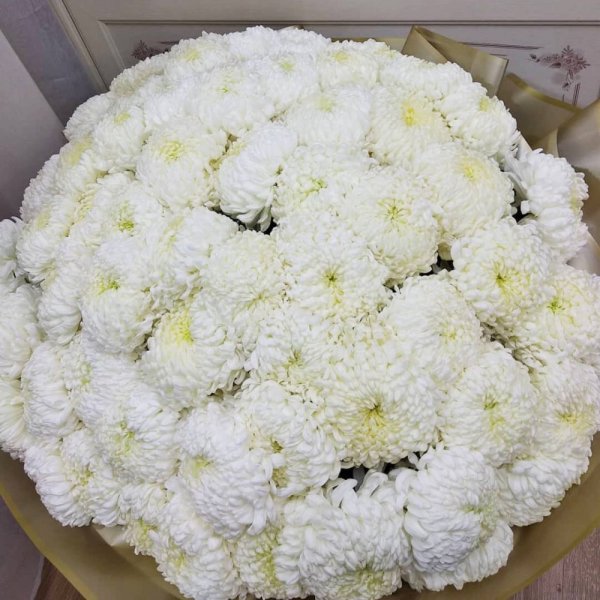 Хризантема Рибонет