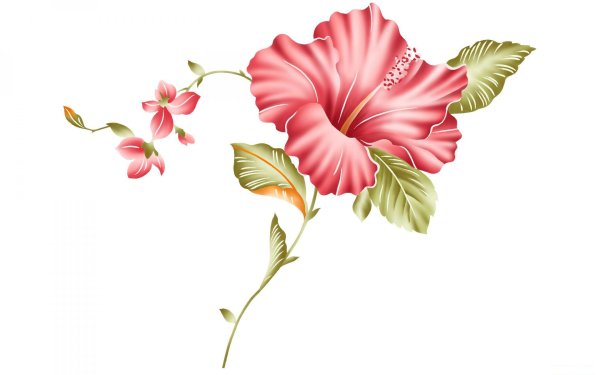 Рисовать цветы