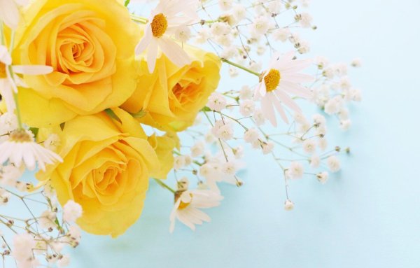 Лютик летний цветы