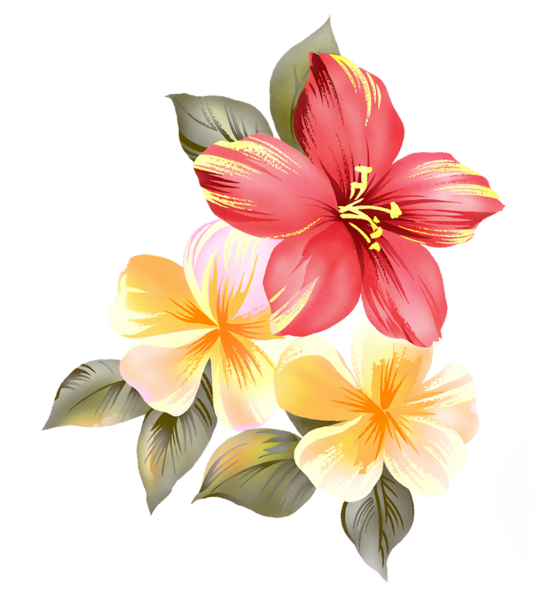 Экзотические цветы на прозрачном фоне