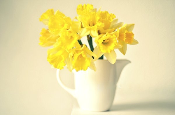 Желтый цветочный фон