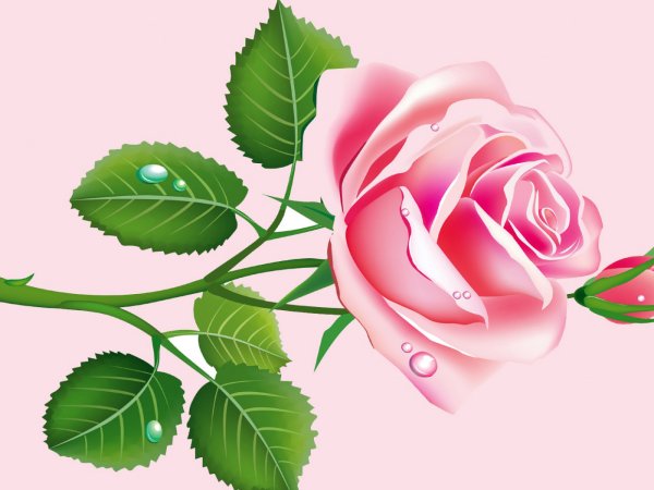 Растровая Графика цветы