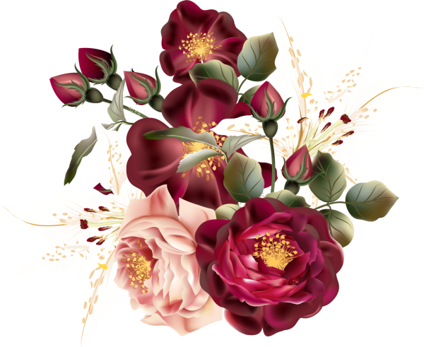 Бордовые цветы