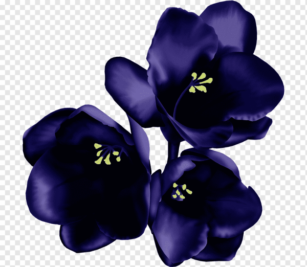 На темно-синем фоне белые цветы