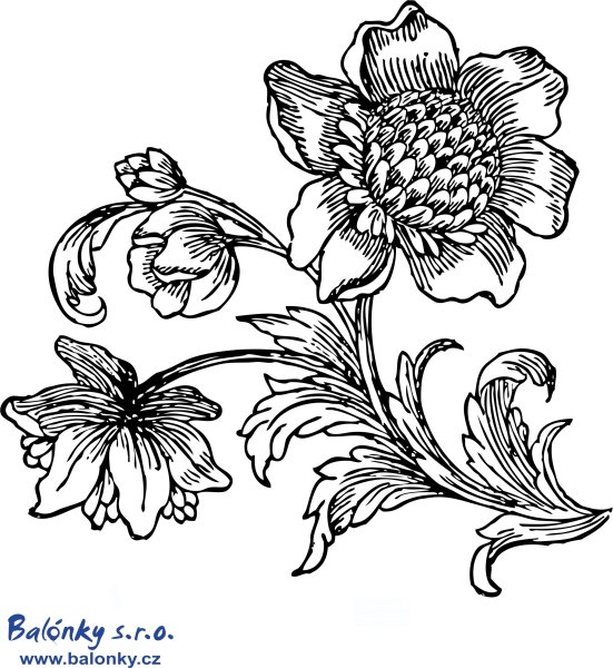 Векторная Графика цветы