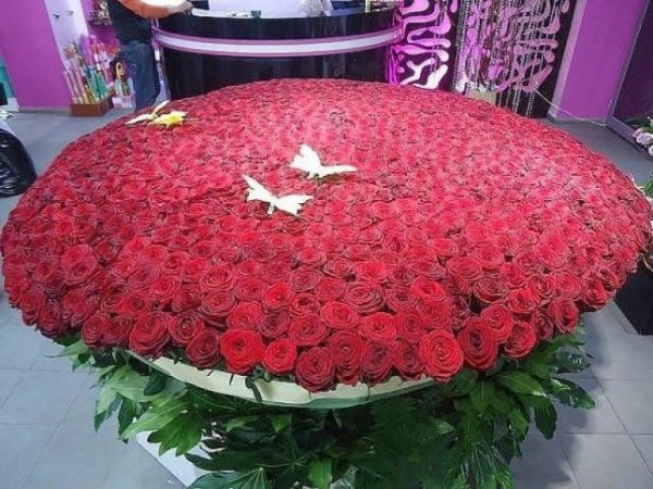 Самые большие букеты