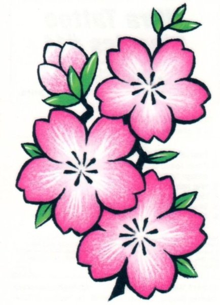 Цветы для срисовки лёгкие