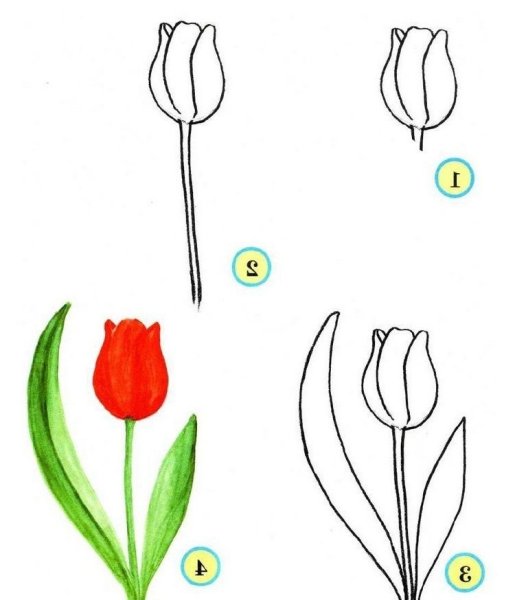 Простые цветы для рисования