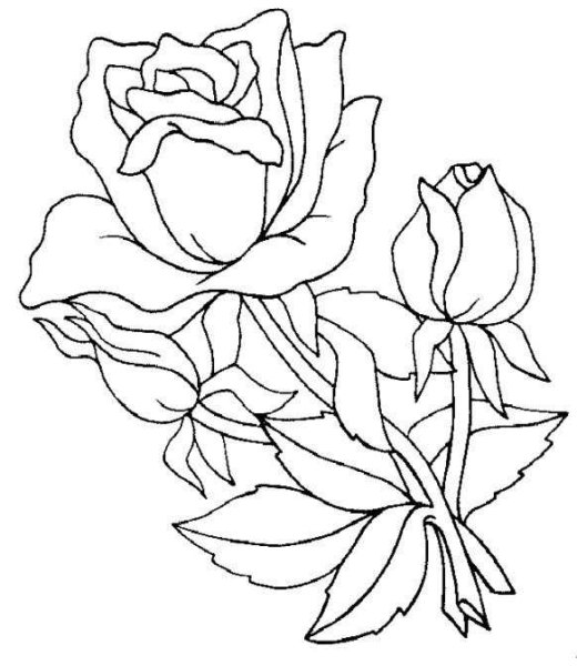 Цветы. Раскраска