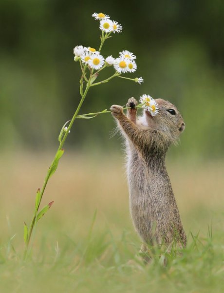 Позитив фото природы