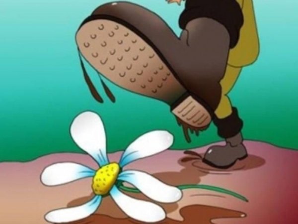 Топтать цветы