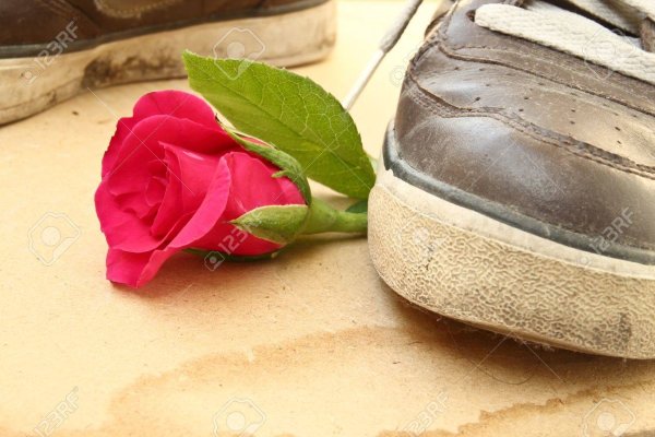 Растоптанный ногами цветок