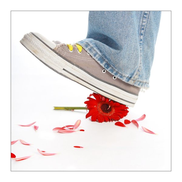 Топтать цветы