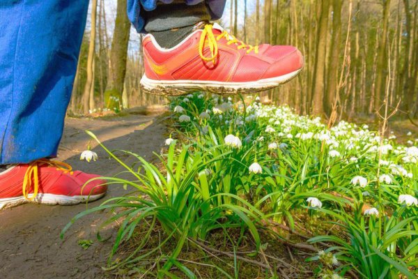 Затоптанный цветок