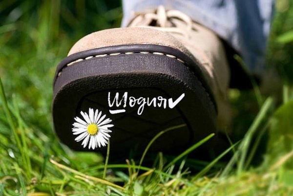 Нога наступает на цветок