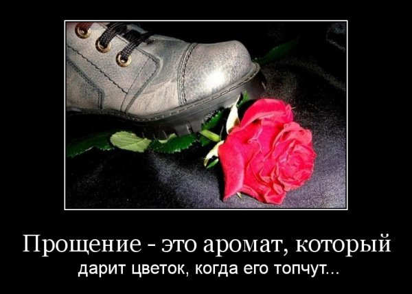 Девочка рвет цветы