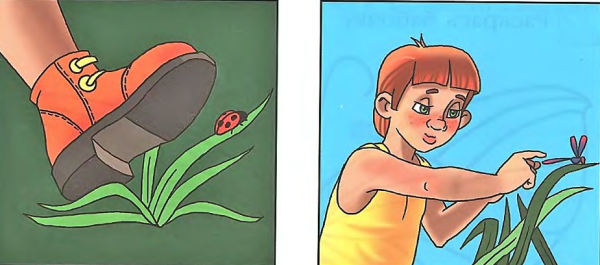 Сломанный цветок