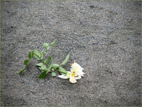 Что нельзя делать