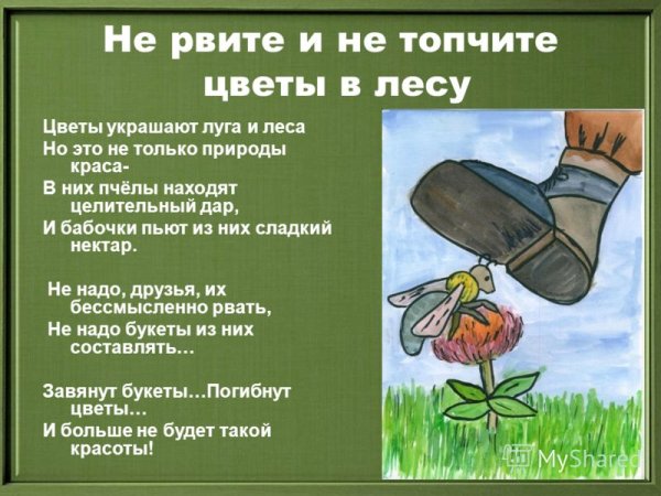 Девушка растоптала цветы