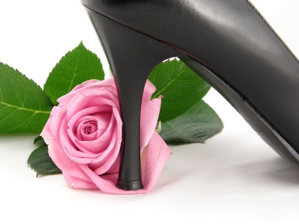 Нога топчет цветок