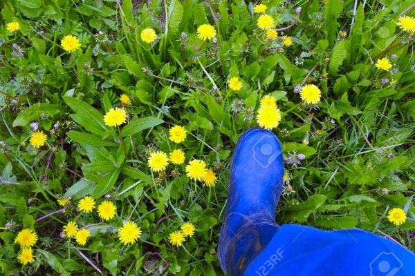 Человек вытаптывает растения