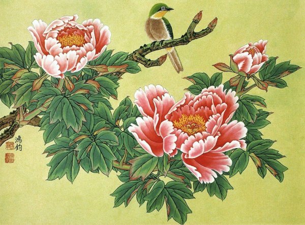 Красивые китайские цветы