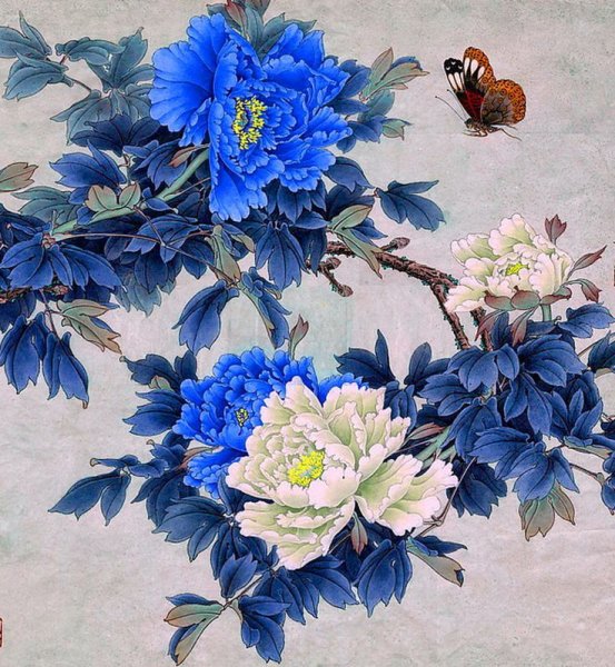 Пионы японские Хайго