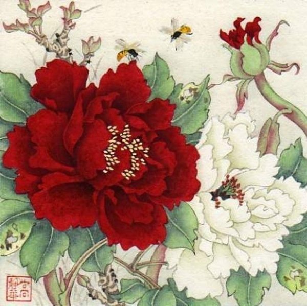 Ван Цин пионы