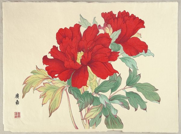 Пионы Танигами