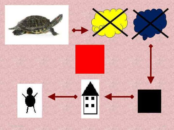 Кубики Никитина блоки Дьенеша
