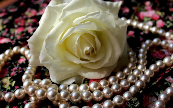 Цветы и жемчуг
