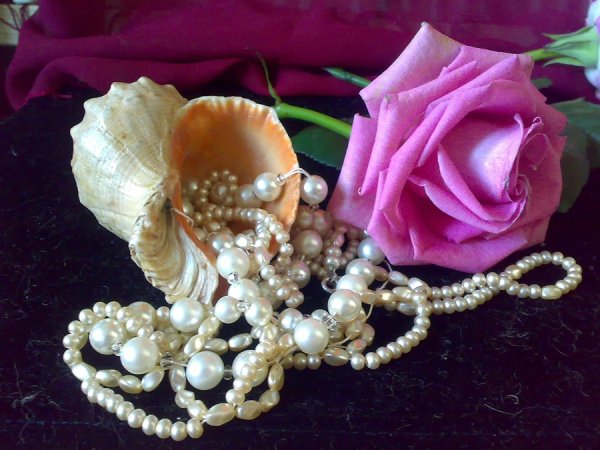 Красивые цветы с бусами