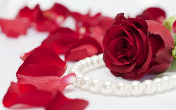 Шкатулка с жемчугом