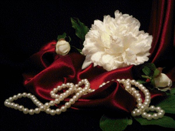 Розы с бусами