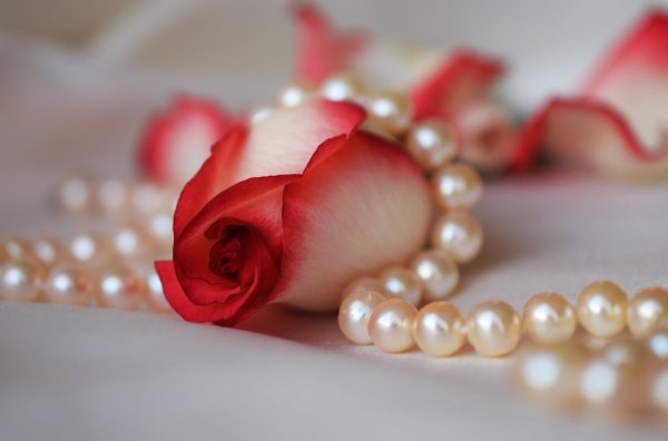 Красивые цветы с жемчугом