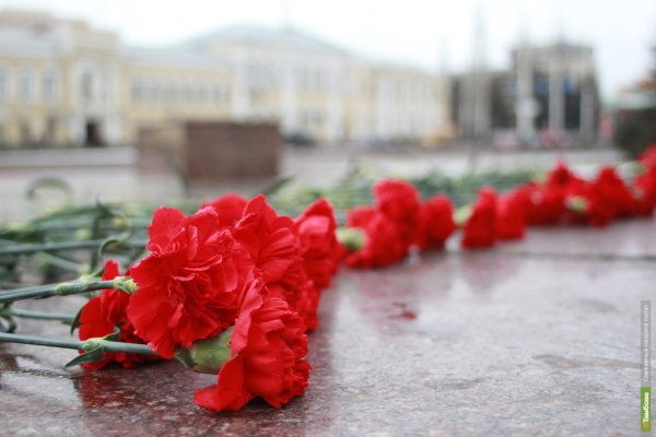 Гвоздики возложение