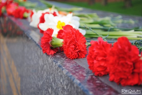 Гвоздики память