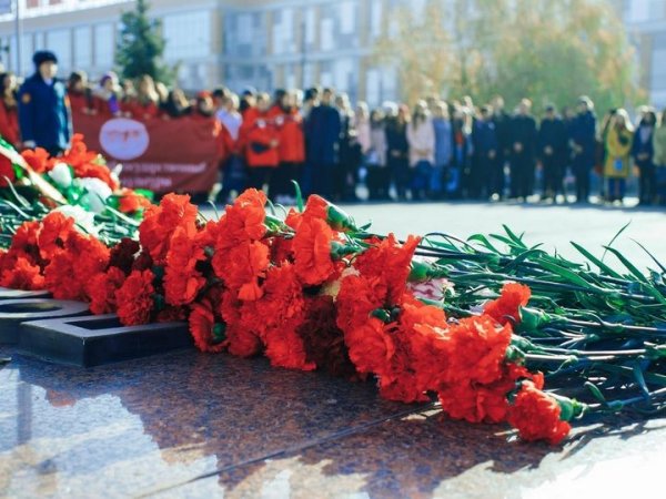 Гвоздики на памятник