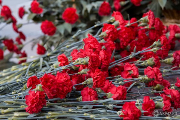 Цветы у вечного огня