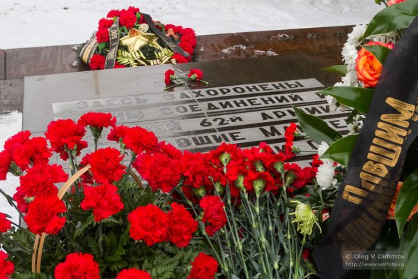 Гвоздика красная букет на возложение